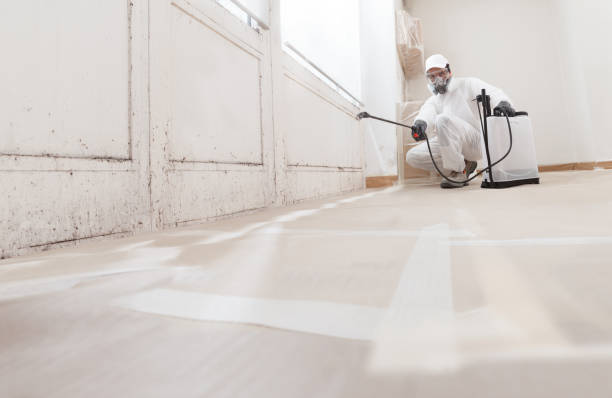 24/7 Emergency Crawl Space Mold Removal experts in Bound Brook, NJ