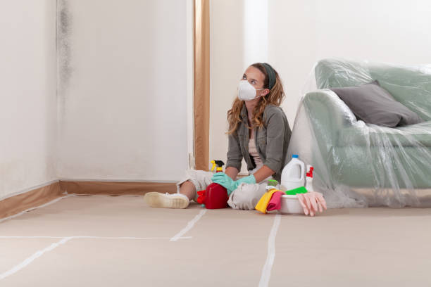 Reliable Mold Remediation contractor in Bound Brook, NJ by Cheap Mold Removal